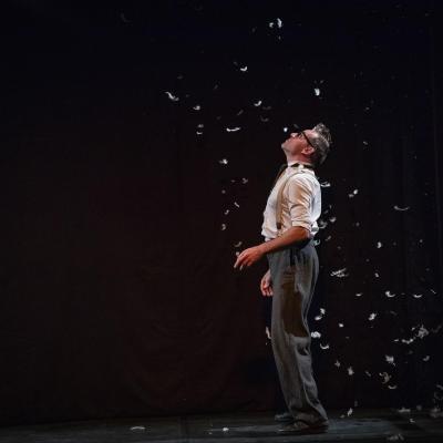 Des Plumes Voler Dans Les Plume 02