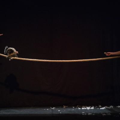 Des Plumes Voler Dans Les Plume 03