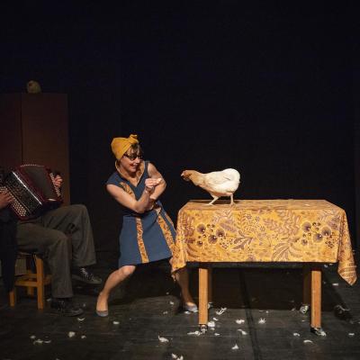 Des Plumes Voler Dans Les Plume 14