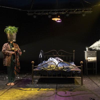 The Barnard Loop Dispensabarzotti 22