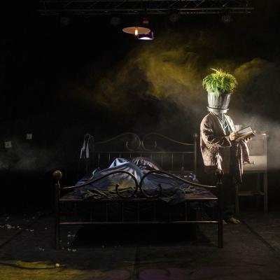 The Barnard Loop Dispensabarzotti 24