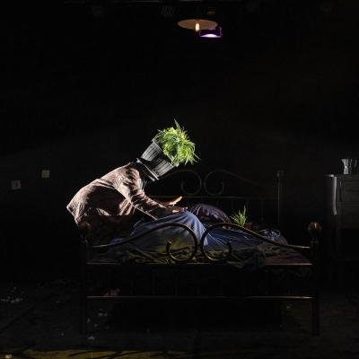 The Barnard Loop Dispensabarzotti 27