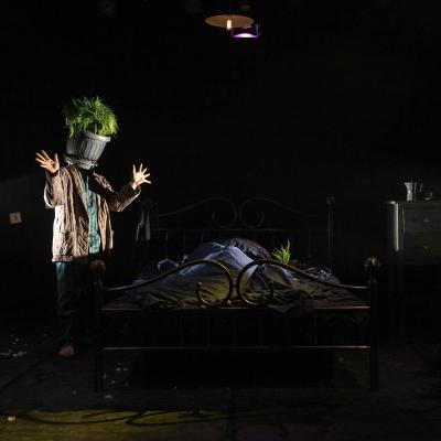 The Barnard Loop Dispensabarzotti 28