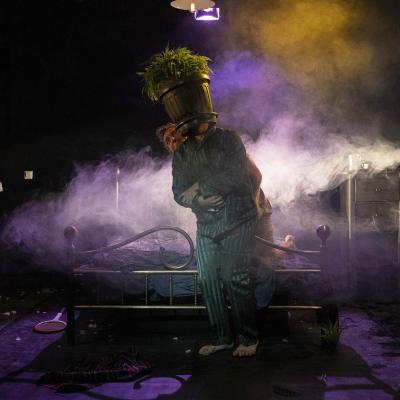 The Barnard Loop Dispensabarzotti 37