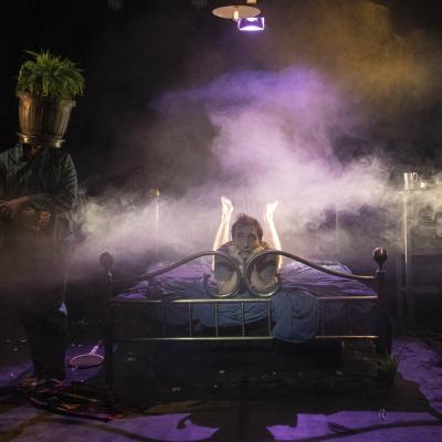 The Barnard Loop Dispensabarzotti 38