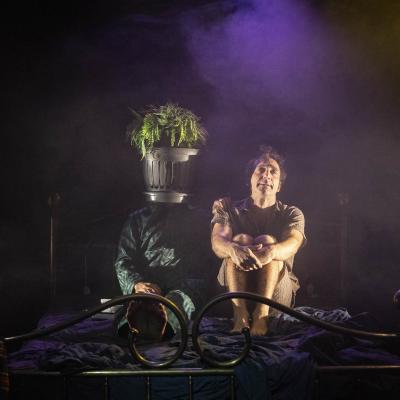 The Barnard Loop Dispensabarzotti 40