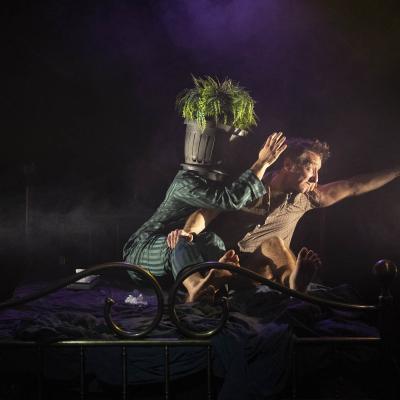 The Barnard Loop Dispensabarzotti 41